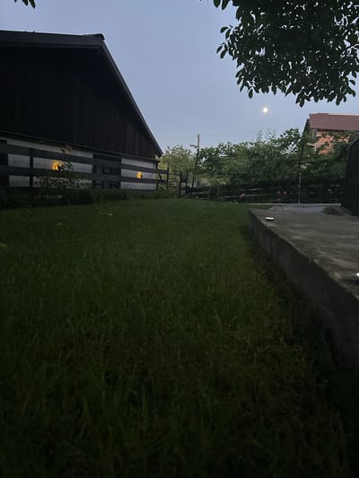 The image depicts a dusky scene in a yard, possibly in Târgu Neamț, Romania. A dark, sloped-roof building occupies the left side of the frame, with a wooden fence running along its base. Two circular, illuminated decorative lights are visible on the fence. The ground in front of the building is covered with green grass. To the right, a concrete ledge or patio is visible, with a few small metallic objects on its surface. In the background, trees and foliage are present, and a faint moon is visible in the sky. The overall atmosphere suggests an outdoor setting at twilight or early evening.