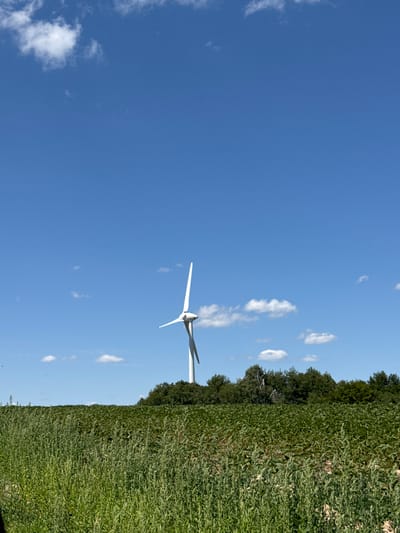 The image depicts a rural landscape under a clear blue sky with scattered white clouds. In the mid-ground, a solitary white wind turbine stands tall against the horizon, its blades at rest. The turbine is situated behind a dense line of green trees that form a natural barrier. In front of the trees and extending to the foreground, a vast field of green crops stretches across the frame. The foreground is dominated by tall, wild green grass and weeds. The scene suggests an agricultural area, possibly in or around the village of Kuriany, Ukraine, given the context. No people or specific actions are visible.