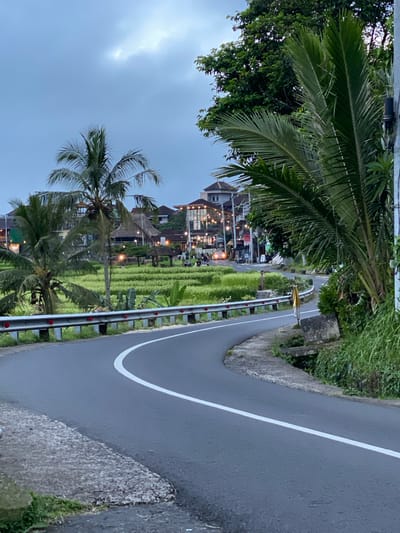 The image captures a winding road in Penebel, Indonesia, lined by rice paddies and palm trees. The road surface is dark asphalt with a solid white line marking the edge. A metal guardrail separates the road from the rice paddies. Buildings with illuminated lights are visible in the background. The sky is overcast.