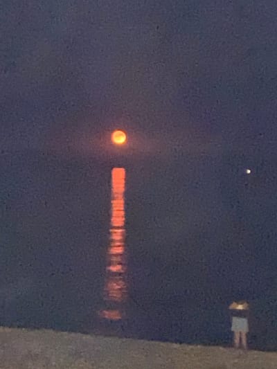 This image depicts a nocturnal scene at a beach in Marbella, Spain, likely during a full moon. A vibrant orange moon is visible in the upper center, casting a strong reflection on the calm water. A lone figure, appearing to be a child, stands on the sandy shore in the lower right quadrant, facing the water and illuminated by what seems to be a small lantern or flashlight. The overall atmosphere is serene and quiet.