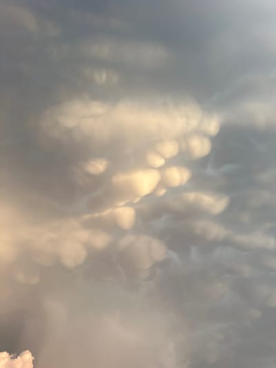 The image shows a close-up view of mammatus clouds, characterized by their pouch-like protrusions hanging from the underside of a cloud. The lighting suggests either sunrise or sunset, casting a warm, golden glow on some of the cloud formations, while other areas are in shadow. The sky is filled with these dramatic cloud structures, creating a textured and somewhat ominous atmosphere. There are no people, buildings, or any identifiable landmarks in the image, making it impossible to determine a specific location within Melbourne, United States of America, or any other city. The focus is entirely on the atmospheric phenomenon of the clouds themselves.