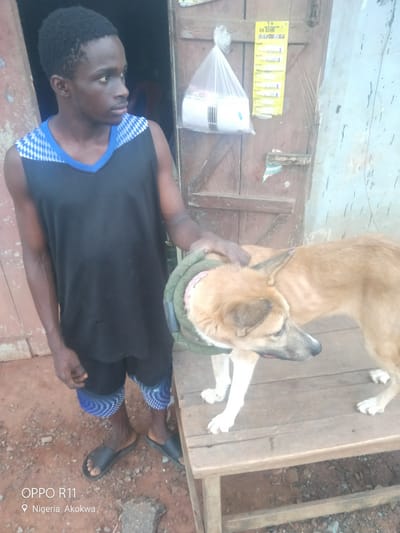 A young Black male is standing outdoors, patting a light brown dog on its back. The male wears a sleeveless black t-shirt with a blue and white diamond pattern on the collar, and blue and white checkered shorts. He is wearing black flip-flops. The dog is standing on a wooden surface, and it has a green collar with pink trim. Behind the male and dog is a wooden door frame and a portion of a wooden door with a yellow poster attached. A plastic bag hangs on the left side of the door. The ground is covered in dirt and small stones. The timestamp on the image indicates the location as Nigeria, Akokwa.