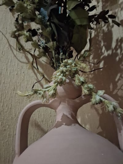 A close-up shot focuses on a terracotta vase filled with dried flowers and greenery. The vase has a light pink hue and features two curved handles. The dried plant material is arranged in a way that spills over the top and sides of the vase, with some stems hanging downwards. The background consists of a textured, light-colored wall, casting shadows from the plant. The lighting appears to be artificial, creating distinct shadows on the wall. The image does not depict any specific location within the city of Colorno, Italy.