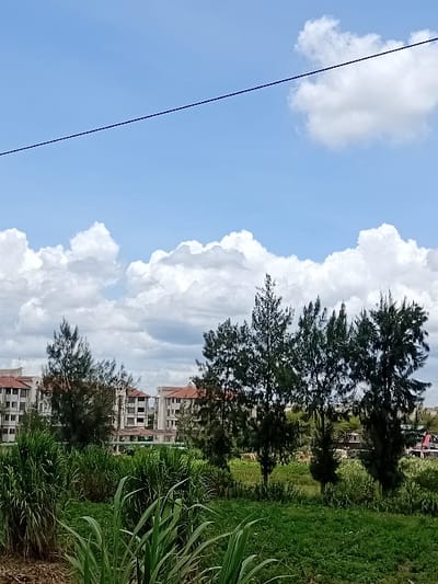 The image shows a view of a grassy field with a few trees in front of a group of multi-story apartment buildings. The apartment buildings are located in Athi River, Kenya, at the coordinates -1.433 latitude, 36.983 longitude. The sky is bright blue with a few fluffy white clouds. There is a single power line running across the sky. The field is covered in tall green grass and the trees have dark green needles. There are no people or animals visible in the image.