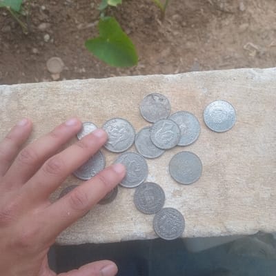 The scene, located in Cujisal, Venezuela, presents an overhead view of a human hand and a collection of coins on a light-colored, rough concrete or stone surface. The hand, with light-toned skin, is positioned on the left, with fingers extended over several of the coins. Approximately 16 to 18 silver-colored metal coins are scattered across the surface. Many of the coins display a profile of Simón Bolívar and text, consistent with older Venezuelan *bolívares*. The coins exhibit varying degrees of wear and tarnishing. In the background, an earthen ground is visible, featuring sparse green plant foliage, including a prominent heart-shaped leaf, and scattered dry debris. A small, light-colored circular object, possibly a bottle cap, rests on the soil. The overall lighting suggests an outdoor, daytime setting.