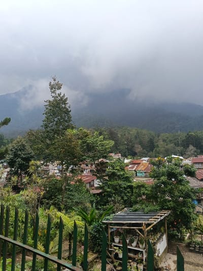 A high-angle view captures a lush town nestled amidst trees and mountains. The buildings have reddish-brown roofs, peeking through the dense foliage. A towering mountain shrouded in mist dominates the background. In the foreground, a green fence and a small shelter filled with potted plants add depth to the scene. The sky is overcast, casting a soft light over the tranquil landscape.