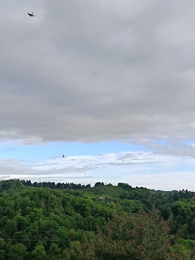 The image shows a landscape with a dense forest in the foreground and midground, transitioning to rolling hills in the distance. Above the hills, there's a partly cloudy sky with visible patches of blue. Several birds are in flight across the sky. The image is consistent with a location in Yuada-Gulrypsh, Abkhazia, but specific landmarks or unique architectural features would be needed to pinpoint the location further.