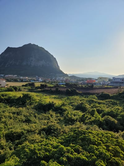 The image depicts a scenic coastal landscape in Seogwipo-si, South Korea. The primary subjects are a large, rocky mountain on the left and a dense, green hillside covered in lush vegetation on the right. In between them, nestled at the base of the mountain, is a small village with colorful houses. The scene is bathed in the warm light of what appears to be either sunrise or sunset, indicated by the soft, diffused light and the hazy quality of the sky. The sky itself is a clear, pale blue, transitioning to a lighter hue near the horizon.
The village features a variety of buildings, some with orange and yellow facades, suggesting a residential area. Roads and paths are visible winding through the settlement. The vegetation on the right is incredibly dense, appearing as a thick carpet of green that stretches towards the village. The mountain on the left is rugged and imposing, with visible rock formations and sparse greenery clinging to its slopes.
There are no people or specific objects clearly identifiable as the focus of activity. The overall impression is one of tranquility and natural beauty. The time of day is likely early morning or late afternoon, given the lighting conditions. The weather appears clear and calm. The location is strongly suggested by the architecture and the natural topography. There is no visible text in the image.