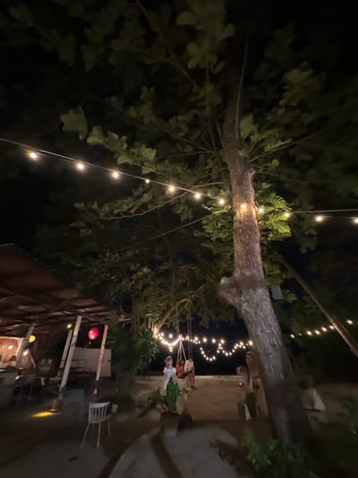 This media file depicts an outdoor evening scene, likely at a resort or restaurant in Ko Pha-ngan District, Thailand. The primary focus is a large tree with thick branches, adorned with a string of warm, glowing fairy lights that create a festive ambiance. The tree's bark is rough and textured, and its leaves are dark green, suggesting it's a mature tree.
In the background, several people are visible, though their features are indistinct due to the low light conditions. One person, a woman with blonde hair, is wearing a white dress and appears to be standing near a table. Another individual is partially visible behind her. String lights also extend into the background, illuminating a pathway and some outdoor furniture, including white chairs and tables. A red lantern is suspended from an overhead structure, adding a decorative element. The setting appears to be a communal outdoor space, possibly a dining or lounging area, with a rustic, natural feel enhanced by the tree and lighting.
The time of day is clearly night, indicated by the darkness and the artificial lighting. The weather appears calm, as the leaves of the tree are not shown to be disturbed by wind. The overall mood conveyed is relaxed and celebratory, suitable for an evening gathering or a pleasant outdoor dining experience. No visible text is present in the image.
