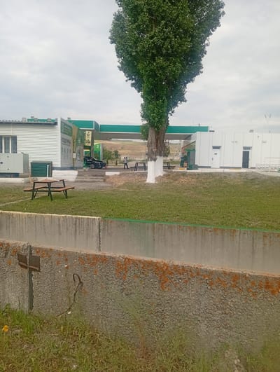 In Tash-Moinok, Kyrgyzstan, a gas station with a white building and a green canopy is visible under a cloudy sky. A large tree with a white-painted trunk stands in front of the station. A picnic table is situated on a grassy area to the left of the tree. Two black cars are parked at the gas pumps under the canopy. A person in a light-colored shirt and dark pants stands near the right side of the scene, observing the cars. A concrete structure with mossy patches runs along the foreground of the image. The environment appears to be a rural or semi-urban setting, with a light pole visible in the background.