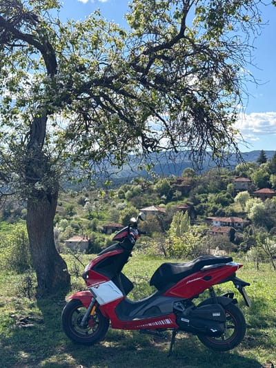 A bright, sunny, daytime outdoor scene shows a red and gray moped parked on a grassy hillside near the village of Tsarvishte, Bulgaria. The moped is resting on its kickstand, with its rear facing the upper right corner of the image. The hillside slopes gently downward from right to left.

A gnarled tree with emerging white blossoms dominates the left side of the frame. Beyond the tree, a collection of houses with red tile roofs can be seen nestled into the slope in the background. A mountain range is visible in the distance, behind the village, under a clear blue sky with scattered clouds. The overall composition suggests a rural setting.