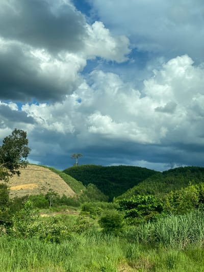 This is a landscape photograph taken in Thôn 18, Vietnam, under a dramatic, cloudy sky. The foreground is dominated by tall, green grass, with various shrubs and trees scattered throughout. In the mid-ground, rolling hills are covered in lush, dark green vegetation. A lighter, barren hillside with visible contour lines runs diagonally from the left to the center of the image. A lone, thin tree stands atop one of the dark green hills in the distance. The sky is filled with a mix of dark, heavy clouds and patches of bright blue sky, creating a sense of impending weather. There are no people or animals visible in the scene. The image captures a rural, natural environment with a strong emphasis on the dramatic interplay of light and shadow in the sky and on the landscape.