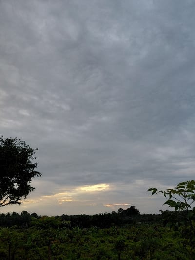 The image depicts a landscape with a vast, cloudy sky dominating the view. The sky is a mixture of gray and lighter tones, suggesting an overcast day. A sliver of bright light, possibly from the sun, peeks through the clouds in the center of the image. The lower part of the image features a lush, green area with trees and foliage. The landscape is tilted to the right, with the horizon line running vertically.