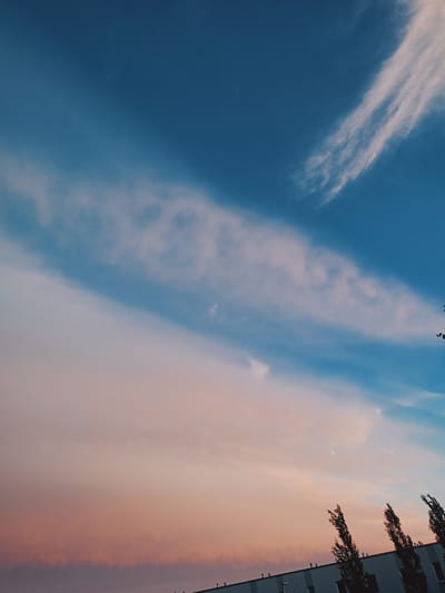 A wide-angle, low-angle shot captures the sky above Peetri alevik, Estonia, during what appears to be either sunrise or sunset. The sky transitions from a deep blue at the top to a soft gradient of pink and orange towards the bottom. Wispy clouds, illuminated by the setting or rising sun, stretch across the sky in a diagonal formation. In the foreground, the top of a long, white building with visible ventilation pipes and windows is silhouetted against the colorful sky. Several tall, slender trees with sparse foliage stand in front of the building, their branches reaching upwards. The overall scene is one of natural beauty and the presence of man-made structures.