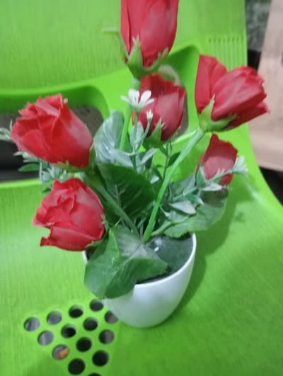 The image displays a close-up shot of a small potted artificial plant featuring red roses, green leaves, and tiny white accent flowers. The plant is situated in a smooth, white, egg-shaped or oval pot, which is placed on a vibrant lime green surface. This green surface appears to be made of plastic, possibly part of a chair, as indicated by a pattern of circular cutouts visible on the lower left side of the frame.
The artificial floral arrangement consists of several red rose buds, some of which are partially open. There are approximately six to seven prominent red roses, made of a fabric-like material. Interspersed among the red roses are numerous green leaves, also appearing to be artificial, adding to the foliage of the plant. Additionally, a few very small white flowers, each with a subtle yellow center, provide a delicate contrast to the bolder red and green. The base of the plant within the white pot is covered with a dark green, moss-like material, suggesting a simulated soil or decorative bed for the artificial flowers.
The lighting in the image is even, highlighting the bright colors of the plant and the background. A soft shadow is cast by the pot on the green surface behind it, suggesting a light source from the front or side. The overall scene is a decorative still life, focusing on the artificial plant against a uniformly colored background. No text is visible in the image.