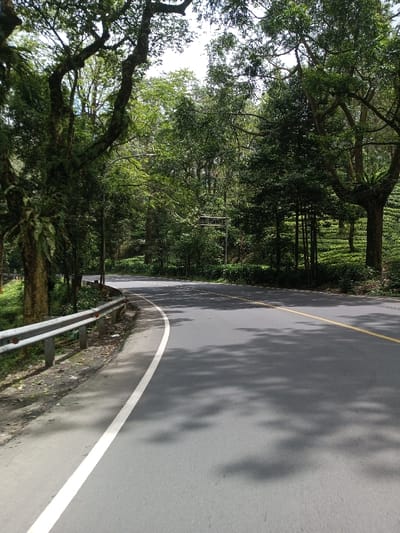 The image displays a paved, dark gray asphalt road curving uphill to the right through a densely vegetated, mountainous area in Boommlog, Bhutan. The road features a solid white line marking the left edge and a double solid yellow line indicating the center. Sunlight filters through the overhead tree canopy, casting numerous irregular shadows across the road surface.
Along the left side of the road, a silver metal guardrail with circular red reflectors parallels the curve. Behind the guardrail, an embankment supports a dense line of mature trees with rough bark and green foliage; some trunks exhibit epiphytic plant growth. A street light fixture on a pole is partially visible among the trees on the left.
The right side of the road is bordered by a steep, heavily wooded incline. Further back on the right, cultivated rows of green shrubs, consistent with a tea plantation, are visible. A rectangular metal structure, possibly a sign frame or sensor, stands on a pole set back from the road within the foliage on the right. No individuals, vehicles, or animals are present in the scene. The sky is partially visible through the tree canopy at the top, indicating an overcast or partly cloudy sky conditions.
