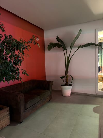 The image shows an indoor scene in Sant Antoni De Portmany, Spain. A dark brown Chesterfield sofa with tufted upholstery is positioned against a vibrant red wall on the left side of the frame. In front of the sofa, a portion of a wooden crate-like object is visible. To the right of the sofa, a large potted plant with broad, dark green leaves stands in a white planter. The plant appears to be a Bird of Paradise or similar tropical species. The background wall is white, transitioning to a pale pink stripe towards the bottom. The floor is covered with large, light gray square tiles. A doorway or opening on the far right reveals a glimpse of another space with artificial lighting and a cane-backed chair. The lighting in the scene is dim and atmospheric, with some light casting shadows on the floor. There are no people clearly visible in the image.