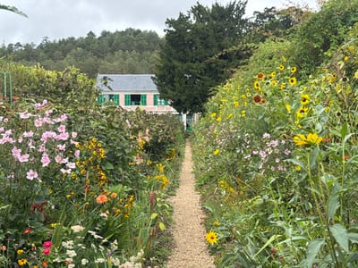 This image depicts a view within Claude Monet's garden in Giverny, France. A narrow, light-colored gravel path extends from the foreground to the midground, slightly curving to the right. The path is bordered on both sides by dense, overgrown flowerbeds. The left bed features numerous clusters of light pink, five-petaled flowers, interspersed with yellow, orange, and white blooms, and various green foliage. The right bed contains a prominent display of yellow sunflowers, some with dark centers, alongside reddish-brown sunflowers, other yellow flowers, and lush green plants. In the mid-background, the two-story house of Claude Monet is partially visible, characterized by a light pink facade, a dark gray tiled roof, and distinctive bright green louvered shutters on its upper-story windows. One window on the right side of the house appears slightly ajar. Behind the house, a dense forest of green trees covers a gentle slope. The sky is uniformly overcast, indicating a cloudy day. No individuals or specific actions are depicted in the scene.