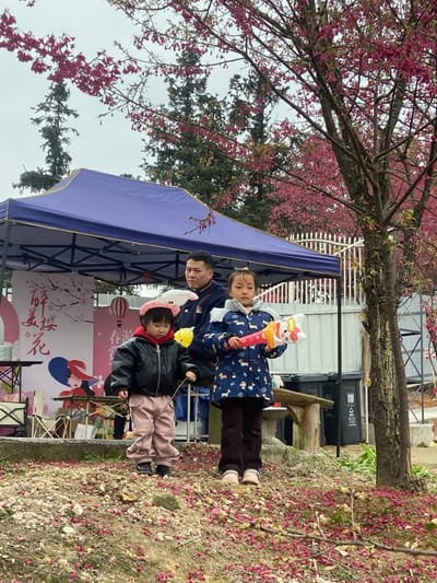 A man and two young girls pose in front of a blue canopy, beneath cherry blossoms. The older girl holds a Hello Kitty balloon and wears a blue jacket with white animal prints. The younger child wears a black jacket, light pink pants, and a pink bunny hat. The ground is covered in fallen pink petals. A building is visible in the background, along with bare tree branches. The sky appears overcast.