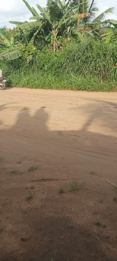 The scene is a dirt road in Amauzu, Nigeria. The road is mostly flat, with a few patches of sparse grass. Shadows of people are cast onto the road surface. In the background, dense vegetation includes banana trees and tall grasses. A portion of a motorcycle is visible at the edge of the frame to the left.