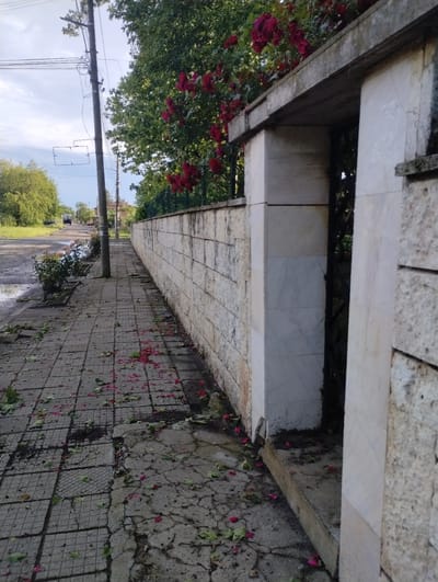 This outdoor image, likely taken in Roza, Bulgaria, presents a daytime scene dominated by natural elements and weathered architectural features.

In the foreground, a paved path or sidewalk, composed of square concrete tiles, stretches from the bottom towards the center-right. This path shows significant wear, with numerous cracks and uneven surfaces. It is generously scattered with vibrant dark red flower petals and some green leaves, suggesting recent blooms or a windy day.

To the left, a low stone wall, constructed from light-colored, rough-hewn blocks, runs horizontally before turning into a more pronounced vertical structure on the right side. This wall is topped with smoother, lighter-toned stone slabs. Behind the wall on the left, a dense mass of green foliage is visible, adorned with numerous dark red roses in full bloom, which strongly aligns with the location context of Roza, Bulgaria (meaning "rose"). To the right, within the structure of the wall, there's a recessed area lined with polished, light-colored marble or stone panels, possibly part of a planter, a monument, or a niche.

The background on the far left reveals a utility pole with multiple electrical wires stretching across the frame, indicating an urban or semi-urban setting. Beyond the pole, a road or dirt track is partially visible, flanked by more green trees under a bright, partly cloudy sky.

There is no discernible human activity taking place; the scene is tranquil and focuses on the interplay of natural beauty and man-made structures. The bright lighting indicates it is daytime, and the weather appears fair. No visible text is present in the image.