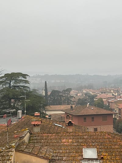This image depicts an elevated, static view over a residential section of Sinalunga, Italy, under uniformly overcast and hazy sky conditions. In the foreground, multiple terracotta tiled roofs are visible, exhibiting significant weathering, moss, and lichen growth. A prominent roof in the lower right features a rectangular skylight. To the left, a closer rooftop displays an external white air conditioning unit, a multi-element directional antenna, and a circular satellite dish. Several brick chimneys with terracotta caps protrude from various roofs.
The midground shows a dense array of residential buildings, predominantly featuring reddish-brown terracotta tiled roofs and light-colored masonry walls. Numerous trees, including large evergreens resembling cedars and slender, dark cypress trees, are interspersed among the structures. A tall, dark green cypress tree stands centrally, partially obscuring a distant, light-colored bell tower.
The background consists of indistinct hills and distant structures, heavily softened and muted by atmospheric haze or fog that extends to meet the gray sky. No people, animals, or discernible actions or interactions are visible within the scene.