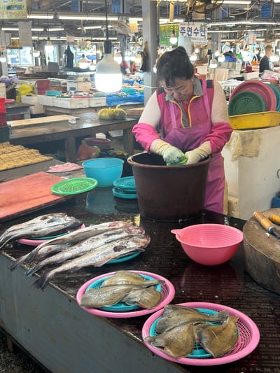 The image shows a woman in a pink apron and gloves working at a fish market in Jeju, South Korea. She is leaning over a large brown tub, and appears to be washing or preparing fish. Around her, various baskets filled with flatfish are displayed. In the background, the market is bustling with stalls, lights, and other workers. The overall scene suggests a busy morning at a traditional seafood market. The visible text indicates the name of a business, "풍식 주연수산," and phone numbers, typical for a local establishment. The presence of abundant fresh seafood and the work being done by the woman all point to the daily operations of a fish market.