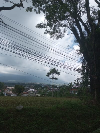 The image depicts a rural-urban landscape in Ura-Dozhi, Bhutan, under an overcast sky with patches of blue and white visible through the clouds.
In the immediate foreground, a dense patch of dark green grass and foliage occupies the bottom section, transitioning into a cultivated field of lighter green plants extending towards the midground. A dark, irregular object, possibly a rock, is situated within this field towards the left.
The midground reveals a small town or settlement composed of numerous buildings with varied roof colors, including red, grey, and light blue. A prominent, slender tree with green foliage stands alone in the field, centered horizontally, with additional dense green vegetation and trees interspersed among the structures of the town. Distant mountains, partially obscured by atmospheric haze or clouds, form the backdrop for the settlement.
The upper portion of the scene is dominated by a complex network of numerous dark utility lines or cables stretching diagonally across the sky from the upper left towards the right. A large, dark tree with rough bark and green foliage frames the right side of the image, extending from the bottom right to the top right corner. A distinct, gnarled tree branch is visible in the upper left corner.
No people, explicit actions, or interactions are present in the scene. The overall environment suggests a transition area between agriculture and residential development at the base of a mountainous region.