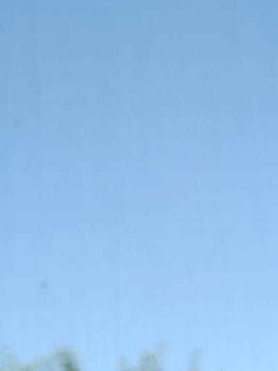 This is a close-up, out-of-focus photograph of a clear blue sky, possibly taken on a sunny day given the bright light. There are a few small, dark, circular shapes that could be dust or debris on the camera lens, or possibly distant objects in the sky, though they are too indistinct to identify with certainty. At the very bottom of the frame, there is a blurred band of green, which likely represents the tops of trees or foliage, indicating the photograph was taken outdoors, looking upwards. The lighting suggests it is daytime. No people, text, or specific landmarks are visible. The context provided places this scene in Shipunovo, Russia.