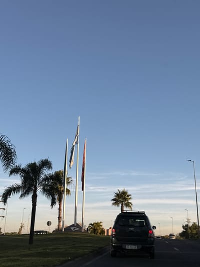 The image shows a view from inside a car, likely taken while driving. The car is on a road beside a grass area with palm trees and flags. The flags are on white poles. In the background, there are street lights and other vehicles on the road. The license plate of the car in the image is "AD 116 JE." It is the city of Tigre in Argentina, as indicated by the flags and architecture.