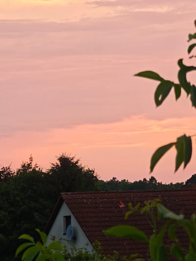 A partially obscured view of a residential building with a red tile roof is seen against a soft pink and orange sunset sky. Dark green trees form a dense line behind the building. In the foreground, blurred green leaves and branches frame the scene. The building features a small, dark rectangular window and a round satellite dish mounted on its pale gray exterior wall. This image was captured in Bautzen, Germany.