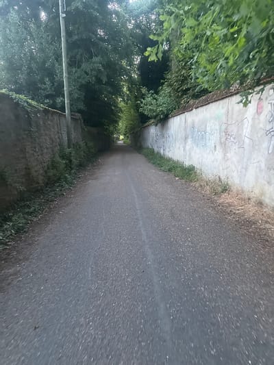 The image shows a narrow, paved road lined with stone walls and graffiti-covered concrete walls, disappearing into a canopy of trees. On the left, a rustic stone wall is overgrown with ivy and other vegetation, with a wooden utility pole standing beside it. On the right, a concrete wall displays extensive graffiti tags and scribbles. The road surface is dark asphalt, showing wear and tear. The scene depicts a somewhat neglected, secluded path within a verdant setting, likely on the outskirts of Longpont-sur-Orge, France. The lighting suggests it is either early morning or late afternoon.