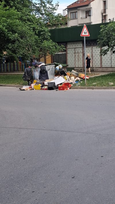 In Gotse Delchev, Bulgaria, a scene of overflowing trash bins and scattered refuse is depicted on a paved street adjacent to a grassy area and a building. A large, silver, commercial-style dumpster is situated near the curb, overwhelmed with garbage, some of which spills onto the pavement. Black trash bags and various discarded items, including cardboard boxes, plastic containers, and what appears to be broken furniture, are strewn around the dumpster and extend further onto the street.
To the right of the dumpster, a woman with blonde hair, wearing a black dress, walks away from the camera on the sidewalk. She is near a triangular road sign with a red border and a white interior, depicting two figures walking, indicating a pedestrian crossing. Behind the trash and the woman, a building with a dark green facade and large windows is visible. Trees with dense green foliage are present on the left and right sides of the frame, partially obscuring parts of the building and the sky. In the background, residential buildings with tiled roofs are also visible. The overall scene suggests a neglected public space with significant waste management issues.