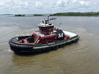 A tugboat named "DENNIS MORAN" is navigating in a body of water. The tugboat has a prominent red and green hull and a white superstructure. It features a large "M" logo on its side. The boat is surrounded by choppy brown water, indicating movement. In the background, a shoreline with green trees and vegetation is visible under a cloudy sky. The overall scene appears to be an outdoor environment, possibly a river or harbor, in Brunswick, United States of America.