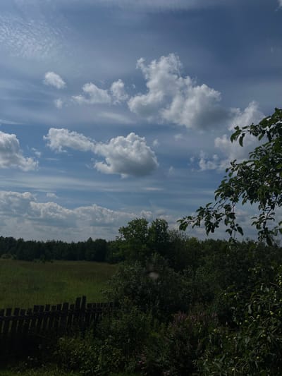 The image depicts a landscape scene in the city of Kemul, Russia, under a partly cloudy sky. In the foreground, a rustic, dark wooden fence runs horizontally across the bottom left of the frame. Beyond the fence, a field of green grass and vegetation stretches towards a dense line of dark green trees that form the horizon. The sky is a vibrant blue, populated with scattered white and gray clouds. On the right side of the image, the branches of a leafy green tree, bearing small green fruits, extend into the frame from the top right corner. The overall impression is of a natural, rural environment on a bright day.