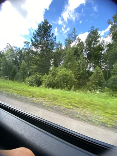 The image captures a view from inside a vehicle, looking out of the window at a roadside scene in Kashkarovo, Russia. The foreground shows the textured interior of a car door and a portion of a person's arm. Outside the window, a dirt road runs parallel to a grassy verge. Beyond the verge, a dense forest stretches across the landscape, with a variety of trees, including tall pines and deciduous trees. The sky above is a vibrant blue, dotted with fluffy white clouds. The overall impression is of a sunny day in a rural or natural setting, likely during a drive.