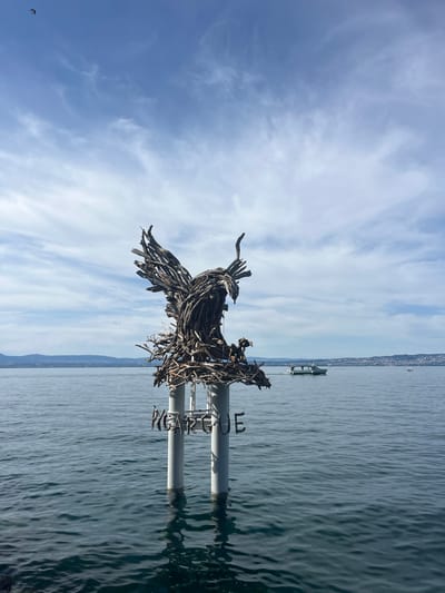 An artistic sculpture, made from driftwood, depicts a large bird with its wings spread, perched on a platform supported by two cylindrical pylons in the water. The sculpture is located in Évian-les-Bains, France, specifically on the shores of Lake Geneva. The word "ÉVIAN" is visible on the pylons in large, metal letters. The water is calm with ripples, and a distant shoreline with hills and buildings is visible. A boat is sailing on the lake in the mid-ground. The sky is blue with scattered clouds. A small bird is in flight in the upper left corner of the frame.