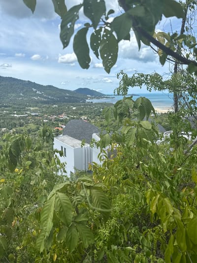This media file depicts a scenic view overlooking a tropical coastline, likely in Baan Harn, Thailand. The foreground is dominated by lush, green foliage with large, detailed leaves in various shades of green, some showing signs of wear like small holes. Branches and thin vines weave through the frame, creating a natural, organic border.
Beyond the vegetation, a breathtaking landscape unfolds. A sandy beach meets the turquoise ocean, stretching towards a hazy horizon. The water appears calm, with gentle waves lapping at the shore. In the middle ground, a white, modern building with a dark, curved roof stands out against the verdant hillside. The building's architecture suggests a dwelling or resort.
The hillside itself is covered in dense, green vegetation, with scattered glimpses of smaller buildings, hinting at a small village or development nestled into the landscape. In the distance, imposing mountains rise, their slopes also covered in greenery. The sky above is a mix of bright blue and scattered, fluffy white clouds, indicating fair weather and likely midday to late afternoon.
The overall impression is one of tranquility and natural beauty, with a touch of human habitation harmoniously integrated into the environment. The orientation of the image, tilted on its side, adds a unique perspective to the scene. No people or explicit text are visible in the media file.