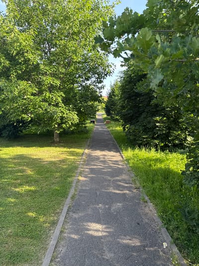 The image shows a paved walkway bordered by grass and trees, suggesting a park or a public garden in Valozhyn, Belarus. The walkway is dark gray asphalt with a light-colored concrete border on both sides. On the left, a well-maintained lawn is visible, with a single tree casting dappled shadows. On the right, the walkway is lined with a dense row of green trees, with some branches and leaves extending over the path. The grass on the right side of the walkway is taller and wilder, with a few small white flowers near the edge. The sky is a clear blue, indicating fair weather. In the distance, at the end of the walkway, a dark bench is visible. The overall impression is one of a tranquil outdoor setting.