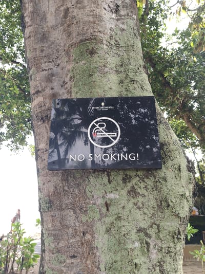 A "No Smoking!" sign for the InterContinental Bali Resort is nailed to a large tree. The sign is black with white lettering and features the universally recognized symbol of a cigarette within a circle with a diagonal line through it. The tree, which appears to be mature and covered in patches of green moss, is located near the beachfront, as indicated by the sandy ground and beach foliage at the base, the woman walking on the sand, and the bright light reflecting off the water. The surroundings suggest a tropical climate, placing the scene in Jimbaran, Indonesia, where the InterContinental Bali Resort is located.