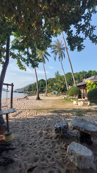 The scene depicts a beach in Tambon Ko Tao, Thailand. Several palm trees are visible against a blue sky. To the right, the sandy beach is visible with a table made of rocks. In the background, there's lush green vegetation. The image is rotated 90 degrees counterclockwise.