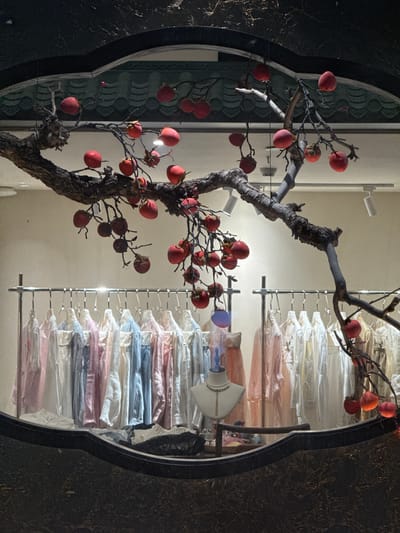 The image is a view through an elaborately decorated opening. On the left is a tree branch with small, round, red fruits attached. Behind the tree is a wall. To the right, a display rack is filled with garments in clear plastic bags, arranged in neat rows. The clothes appear to be in pastel shades of pink, blue, and white. The opening is surrounded by a dark material, which seems to have a textured surface.
Based on prior knowledge, the location is likely a business or shop display in Chaoyang District, China. The items being sold or showcased behind the tree appear to be clothing.