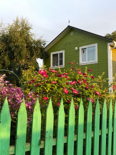 In the city of Krasnaya Presnya SNT, Russia, a vibrant scene unfolds. A bright green, wooden picket fence with pointed tops dominates the foreground. Behind the fence, a riot of flowers blooms. Deep pink clematis flowers, some fully open and others in bud, cascade over lush green foliage. To the left, a cluster of purple clematis flowers adds a contrasting splash of color.
Beyond the garden, a charming green house stands, its horizontal wooden siding bathed in warm, golden sunlight. Two white-framed windows with a grid pattern are visible on its facade. The roofline of the house is dark and slopes upwards, capped with a weather vane. To the right of the green house, a sliver of a yellow building is visible, with a white downspout extending from its roof.
A large, leafy tree with yellowing leaves stands to the left of the house, its branches partially obscuring the sky. The sky above is a pale, hazy blue, hinting at the time of day. The overall impression is one of a peaceful, sun-drenched garden in a rural or semi-rural setting.