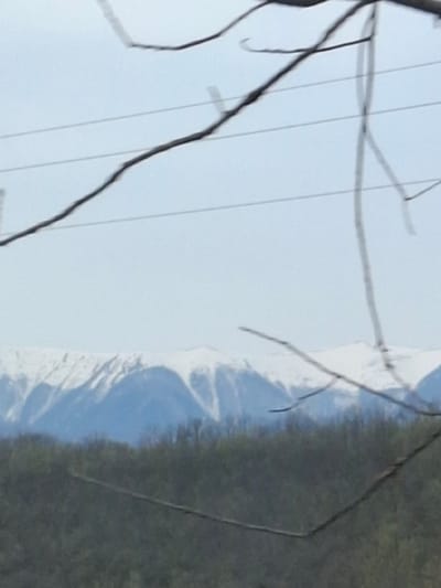 The image shows a landscape view in Komarevo, Bulgaria, likely taken during winter or early spring due to the presence of snow on the mountains in the distance. The foreground includes bare tree branches, suggesting a colder season. Overhead power lines are also visible. The right side of the image shows a forested area with what appears to be evergreen trees. The sky is overcast and bright.