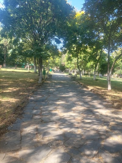 A paved walkway winds through a park in Markovo, Bulgaria. The walkway is constructed from irregular, flat stones, creating a mosaic-like surface. Sunlight filters through the canopy of mature trees lining the path, casting dappled shadows on the ground. To the left of the walkway, a grassy area slopes gently upwards, dotted with more trees and benches. Green trash receptacles are visible next to some of the benches. The overall impression is one of a tranquil, well-maintained public park bathed in the warm light of a sunny day.