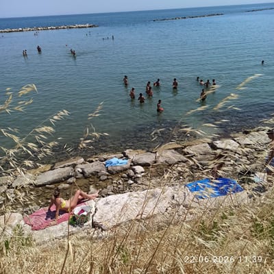 The image shows a crowded beach with people swimming and sunbathing. The water is a clear blue, and the sky is a pale blue. The beach is rocky, with some patches of sand. There are several people in the water, some swimming and others standing around. On the shore, a woman in a yellow bikini is lying on a pink towel, sunbathing. Next to her is a floral-patterned basket. A blue tarp is visible further down the beach. The timestamp "22.06.2026 11:39" is overlaid on the bottom right corner of the image. While the image is set in the city of Trani, Italy, no specific landmarks or identifiable features of Trani are visible in this general beach scene.