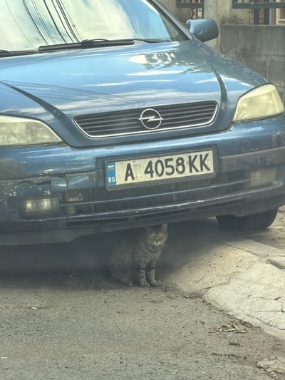 A tabby cat is sheltering under the front bumper of a blue Opel car parked on a street in Aytos, Bulgaria. The car has a Bulgarian license plate that reads "BG A 4058 KK". The car's front bumper is damaged and cracked. The ground is asphalt with a curb made of concrete. The scene appears to be outdoors, likely in a residential area, given the presence of a building in the background. The lighting suggests it is daytime.