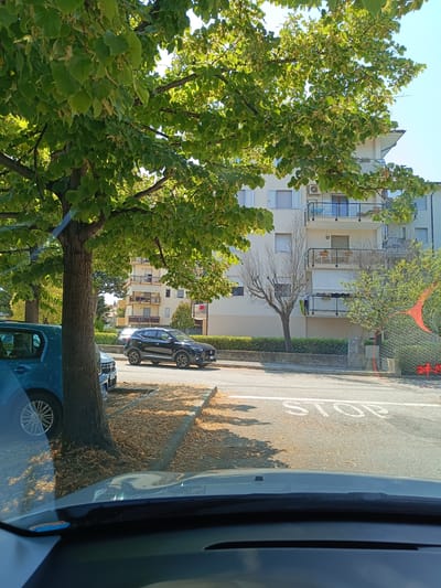 The image depicts a street scene in Riccione, Italy, on a sunny day. In the foreground, the dashboard and windshield of a vehicle are visible, suggesting the photo was taken from inside a car. A large tree with lush green leaves dominates the left side of the frame, casting shadows on the street and a nearby parked blue car.
Across the street, a black SUV is parked. Beyond the street, a multi-story building with balconies and windows stands. There are some bare trees and manicured hedges in front of the building. The street is paved and marked with a white "STOP" sign. The ground around the tree and along the curb is covered in fallen leaves. The sky is clear and blue. There are no people visible in the image.