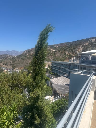 A high-angle, sunlit, outdoor shot captures a view of a coastal landscape with a multi-story building and lush greenery in Agios Nikolaos Municipal Unit, Greece. The sky is a clear, vibrant blue. In the foreground, a tall, slender green tree bends sharply to the left. To the right, a light gray building with multiple balconies and glass railings is visible, extending from the foreground into the midground. Beyond the building, a winding road with several white cars and one red car is seen traversing a hillside covered in low-lying green and brown vegetation. In the background, distant mountains rise under the clear sky. The scene appears to be a resort or hotel area.