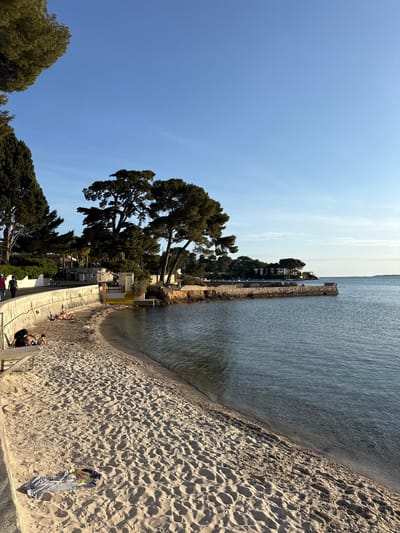 The image captures a sunny day at a tranquil beach in Antibes, France, showing a coastal landscape from a slightly elevated perspective. The sky is a clear, bright blue with minimal cloud cover, indicating pleasant weather.

The scene features calm, light blue-green water gently meeting a sandy beach. The sand is light in color, textured with numerous footprints and ripples, suggesting recent activity. Along the edge where the water meets the sand, some dark debris, possibly seaweed, is present. A striped towel with some clothes on it lies on the sand near the water.

A low concrete or stone wall runs parallel to the coastline, separating the beach from an elevated area behind it. Numerous tall, dark green trees, resembling pine trees, dominate this elevated ground, providing shade. Several white buildings, likely houses or other coastal structures, are visible nestled among the trees along the distant shoreline. A distinctive yellow structure, possibly a small beach hut or shed, is positioned behind the wall and trees closer to the foreground.

Several people are present, enjoying the beach. Two individuals are sitting on steps or a low wall at the right side of the beach, with another person standing nearby. Further along the sand, two more figures are seen lounging or sitting near the wall.

The bright illumination suggests it is late morning or early afternoon. The overall impression is one of relaxation and leisure in a serene Mediterranean setting. No visible text is present in the image.